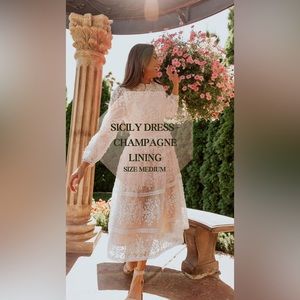 ✨BRAND NEW WITH TAGS: NEW IVY SICILY DRESS - CHAMPAGNE LINING✨